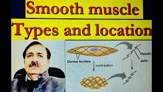 Smooth muscle Location Types Phasic and tonic contraction  Lectures by Dr Alamzeb [upl. by Giesser]