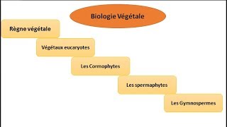 biologie végétale classification des végétaux botanique [upl. by Materse714]