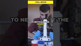 How Antivenom is Made from Snake Venom amazingfacts facts [upl. by Smalley195]