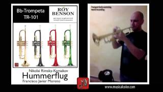 El vuelo del moscardón  The green hornet  Roy Benson Tr101 Fº Javier Moreno Tienda de música [upl. by Eidson]