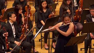 Hisatada Otaka Flute Concerto Op 30b [upl. by Coltun]