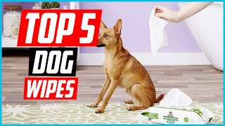 ✅ Top 5 Best Dog Wipes Reviews in 2024 [upl. by Goodson793]