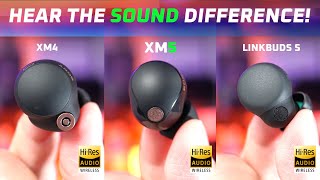 A Rip Off 🤔 Sony WF1000XM5 vs WF1000XM4 vs LinkBuds S [upl. by Vijar534]