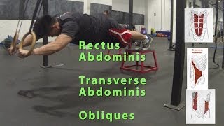 How to  Ab rollout on rings [upl. by Nickola]