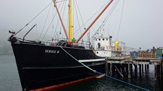 Uchuck III  Nootka Sound Day Cruise  August 2 2016 [upl. by Curr]