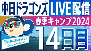 ドラゴンズキャンプLIVE2024 217 14日目 [upl. by Sussman]