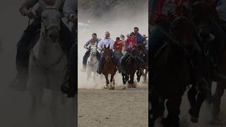 Mule Racing In Idaho 😂🙌🏼 mule race horse equestrian [upl. by Oahc]