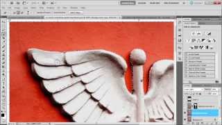 Learn how to use the quick selection tool in photoshop cs5 [upl. by Middendorf700]