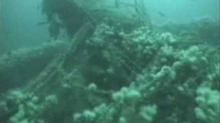 SS Exmouth Shipwreck Video [upl. by Aicxela442]