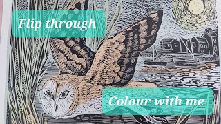 Flip through amp tutorial of Angela Harding colouring book How 2 blend covering harsh lines amp tools [upl. by Varion]