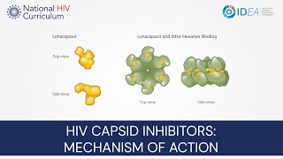 MiniLecture Series HIV Capsid Inhibitors Mechanism of Action [upl. by Yleen]