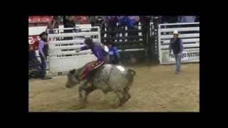 Bull Riding 2014 INFR Slick Phelps amp Cam Bruised Head [upl. by Enasus]