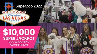 10000 Dog Grooming Competition SuperZoo Las Vegas [upl. by Budde]