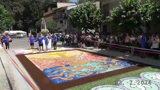 INFIORATA IN ONORE DI MARIA SS Di MONSERRATO VALLELONGA VV 2024 [upl. by Salohcin151]