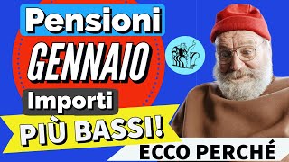 PENSIONI GENNAIO 2024 👉 IMPORTO PIÙ BASSO sul CEDOLINO❓ Ecco perché [upl. by Eirehs]