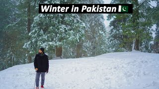 Pakistan Snowfall Places  Murree Nathia Gali  Shogran and Kashmir [upl. by Assile]