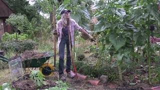 Planter un arbre en permaculture de façon simple et naturelle  figuier [upl. by Asaret]