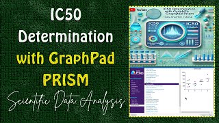 IC50 Determination with GraphPad PRISM  Data Analysis Tutorial [upl. by Fusuy553]