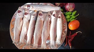 Different Parshe Macher Jhal Shorshe Recipe  Parshe Macher Jhol  Bengali Parshe Fish Curry Recipe [upl. by Bully]