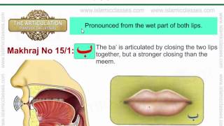 Makhraj No 15117  Makhraj of Baa  Articulation Points of Arabic Letters [upl. by Scoter]