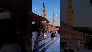 Paigham Saba Lai Hai🌹🌼 Gulzar e Nabi seshorts youtubeshortsshortsviral [upl. by Redleh518]