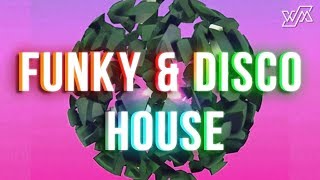 Funky House amp Disco House Mix 2017 HumanMusic [upl. by Ierbua502]