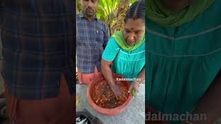 How To Make Sardine Curry  kadalmachan keralafood reel keralacooking shorts shortvideo [upl. by Ybbor]