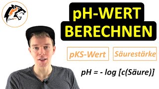 pHWert berechnen inkl pOHWert  Chemie Tutorial [upl. by Pail]