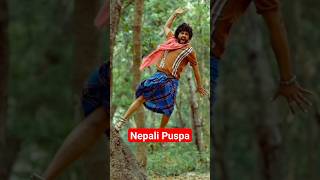 Durgedh Thapa New Song janti durgeshthapa pushpa newsong [upl. by Ielak]