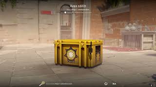 DAY 364 OPENING CS2 CASES UNTIL I GET GOLD [upl. by Naesyar782]