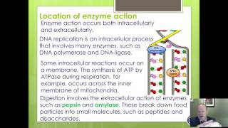 OCR Biology Enzyme stucture and function part 1 [upl. by Assirec]