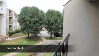 Fox Lake Apartment Homes  Abbington Walkthrough [upl. by Paulina]