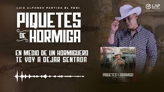 Luis Alfonso Partida quotEl Yakiquot  Piquete de hormiga Video Lyric [upl. by Epifano]