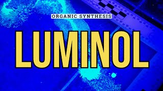 Making Luminol [upl. by Allsopp]