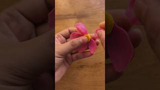 Clay flower making 😱🌸🤩shortvideo art viralvide clayart youtubeshorts youtube shortvideo [upl. by Skill]