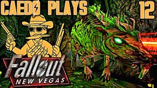 Whiskey Addiction  Caedo Plays Fallout New Vegas 12 Buckaroo Build  ReUpload [upl. by Assele]