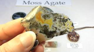 Crystal amp Mineral Education MOSS AGATE 🍃 [upl. by Acissehc871]