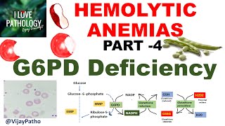 Hemolytic Anemias Part 4 G6PD Deficiency PathophysiologyMorphology clinical features [upl. by Lirbaj]