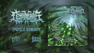 DECOMPOSITION OF ENTRAILS  Epicylic Biomorph  PATHOLOGICAL EXPLICIT Recs  BRUTAL MIND PROMOTION [upl. by Yanehc]