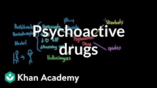 Overview of psychoactive drugs  Processing the Environment  MCAT  Khan Academy [upl. by Nosydam678]