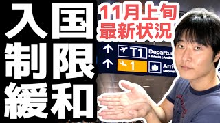 入国制限緩和の最新状況（11月上旬版）。都市封鎖に逆戻りの欧州、大統領選後の米国、そしてジワジワと渡航緩和が進むアジア圏 [upl. by Yzeerb]