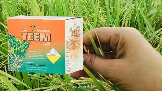 Tag Teem Fungicide  Tricyclazole 75 WP  use।dose।price।all details। Tag teem systemic fungicide [upl. by Buskirk]