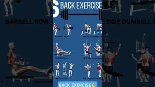 BEST BACK EXERCISE video [upl. by Je202]