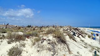 Praia do Barril Tavira  Algarve Portugal [upl. by Idnerb]