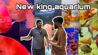 New king aquarium bangalore karnataka kannadiga comedy fish aquarium fishing fishingvideo [upl. by Nannarb]