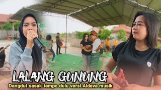 SASAK LALANG GUNUNG ALDEVA MUSIK voc evi mariani [upl. by Lleinnad]