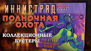 Распаковка дисплея  МТГ Иннистрад Полночная Охота  Коллекционные бустеры  MTG Midnight Hunt [upl. by Berkow255]