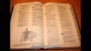 Malay Bible  Alkitab Berita Baik  Todays Malay Version with Thumb Index [upl. by Sirob]