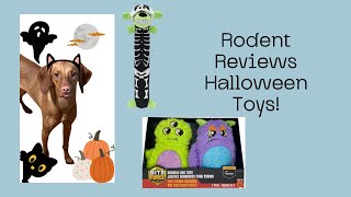 Rodents Halloween  The Best Dog Toys for Halloween [upl. by Aititel]