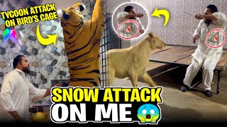 Snow kay attack say bach gya tu tycoon nay attack kar dia 😱 [upl. by Aneeuqahs]